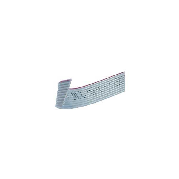 10 Conductor Flat Ribbon Cable - 100?