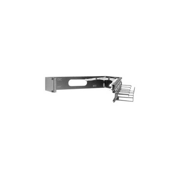 2RU Wall Mount Hinged Panel