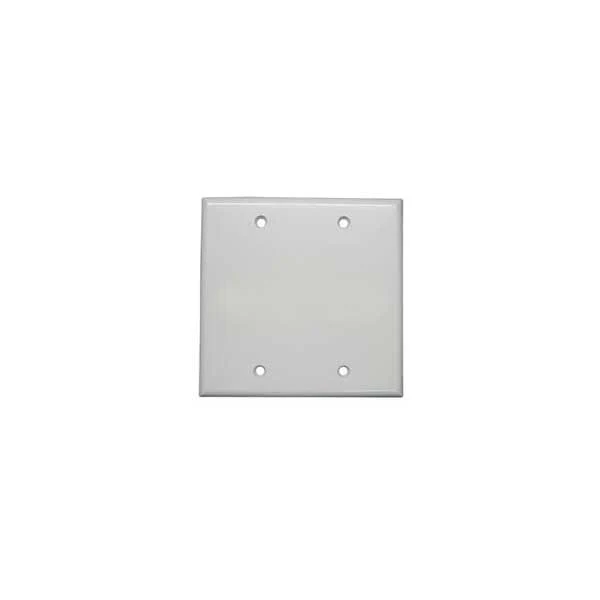 Dual Gang Blank Wall Plate - White