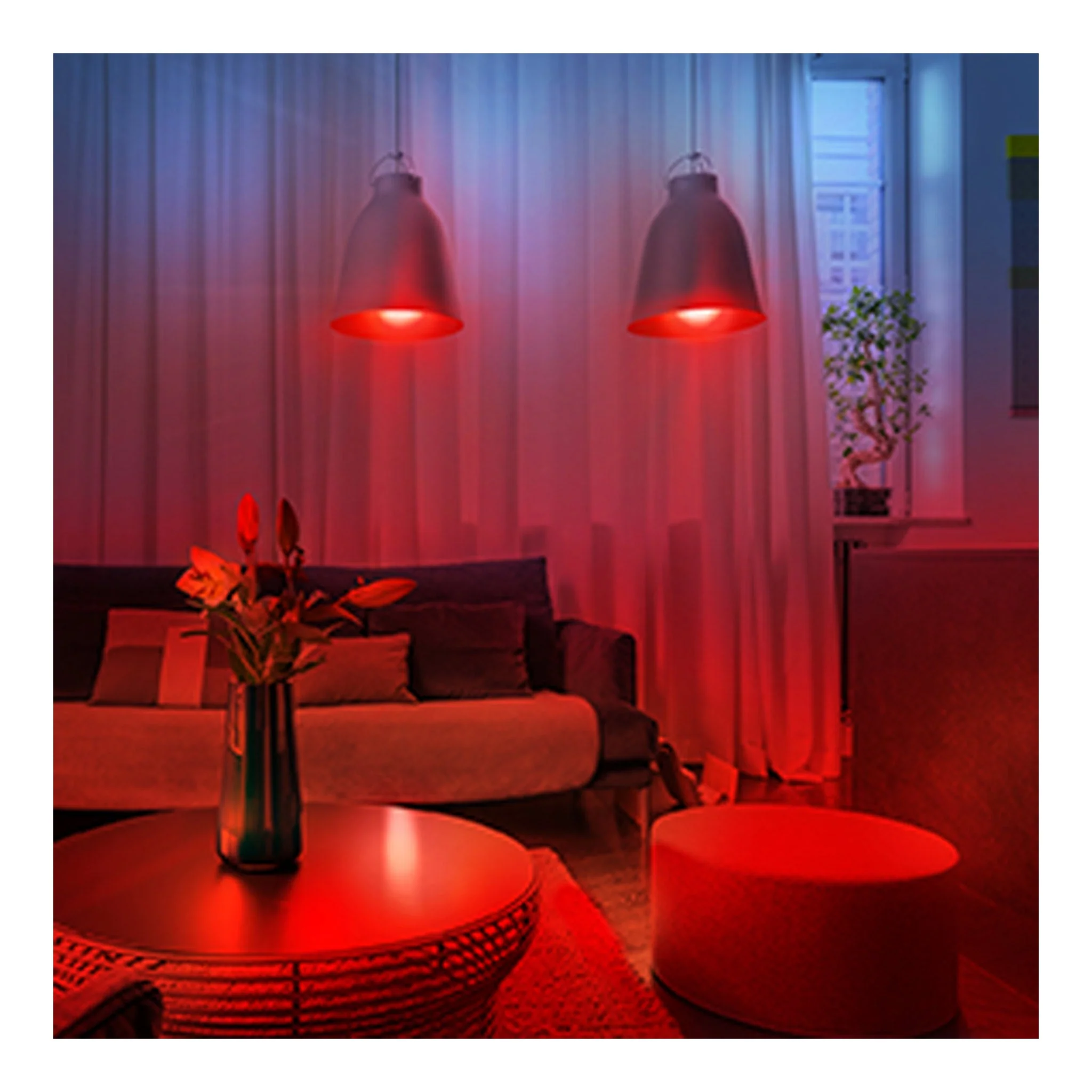 Energizer EAC2-1002-RGB Smart Wifi White & Multi-Color LED A19/E26 Light Bulb - Image 7