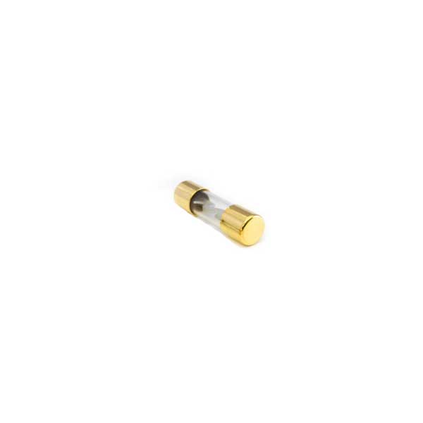 GOLD AGU/5AG FUSES 30A 32V