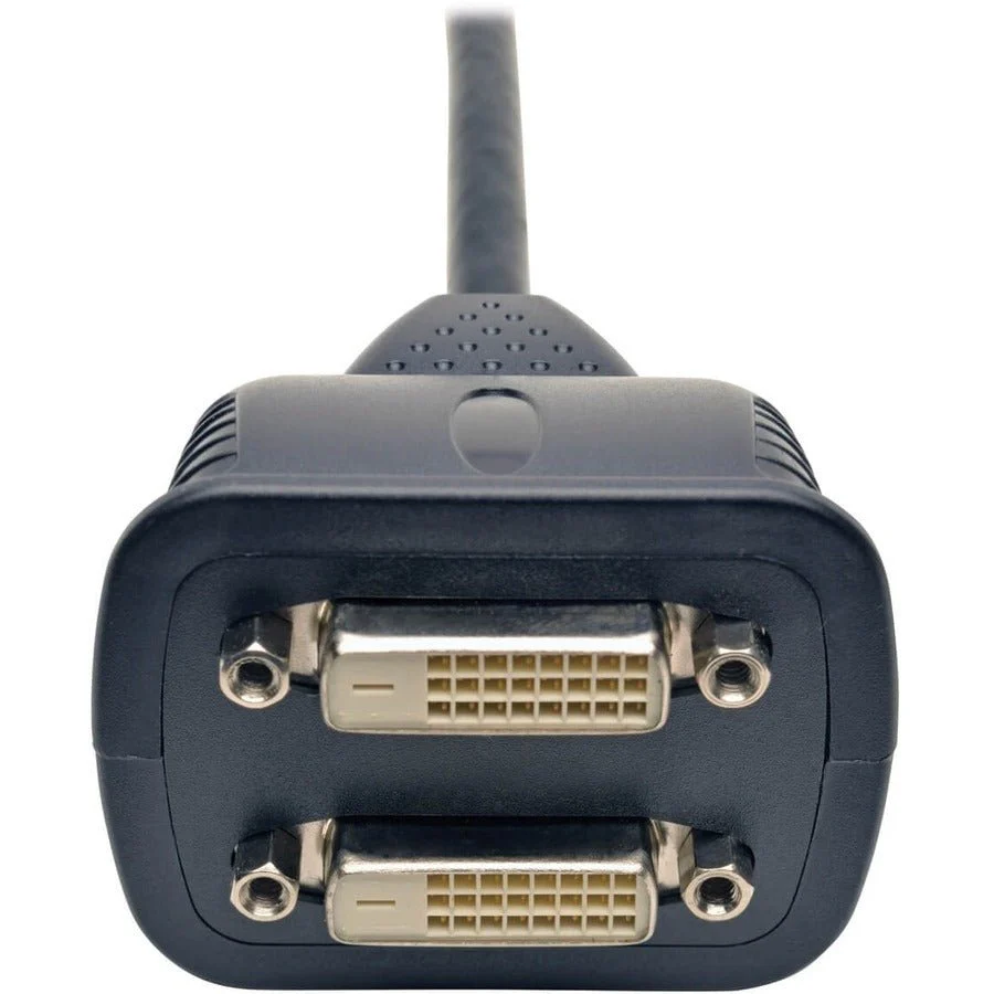 Tripp Lite 1ft DVI-D Y Splitter Video Cable DVI-D Male / 2x Female 1'