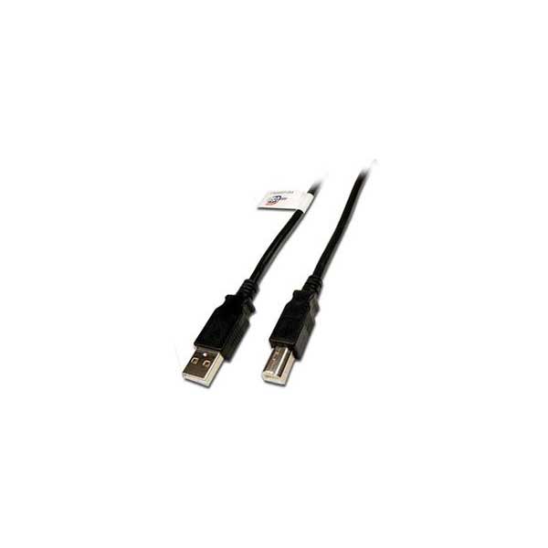 USB 2.0 A Male / B Male Cable - 15'